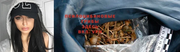 эйфоретик Надым