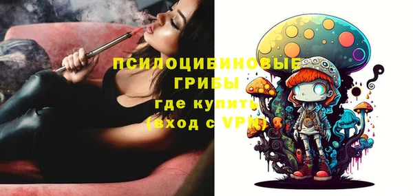 spice Абинск