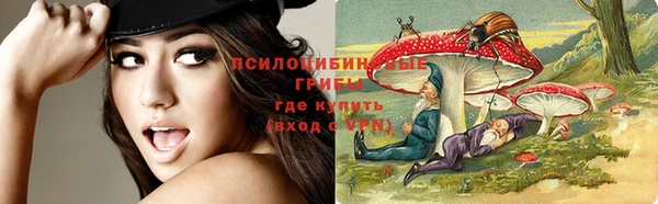 spice Абинск