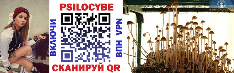 гидра ссылка  Комсомольск-на-Амуре  Галлюциногенные грибы GOLDEN TEACHER 